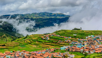 Ooty Drop Taxi City Drop Taxi Service